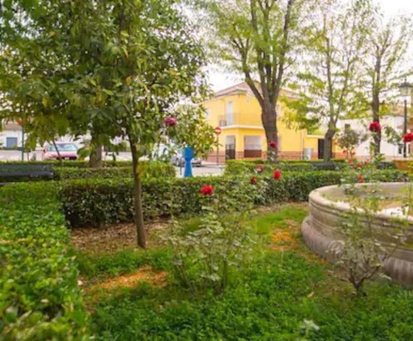 Casa Pablo -Granada- Villa Dış mekan fotoğraf
